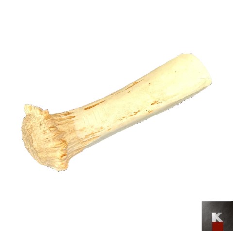 pu n2 tronchetto corno alce rosetta